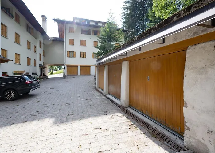 Cesa Ricky 까나제이